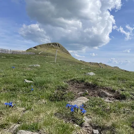 Lejlighed Porte Du Sud Le Lioran