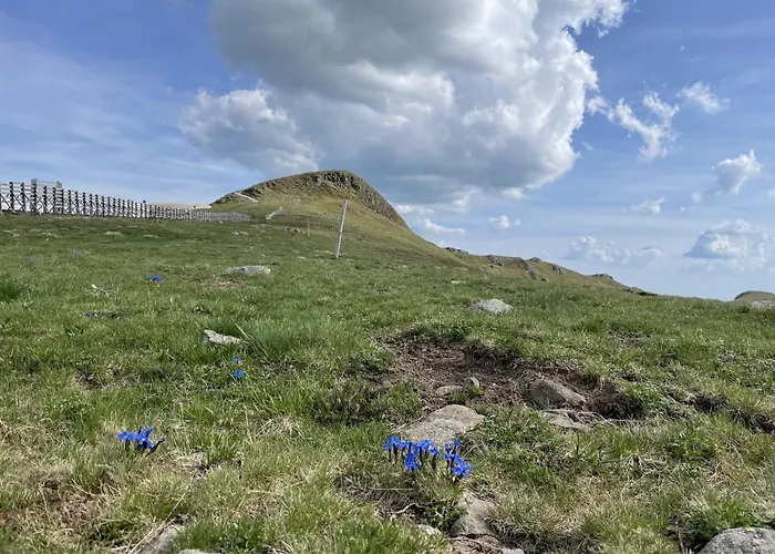 Lejlighed Porte Du Sud Le Lioran